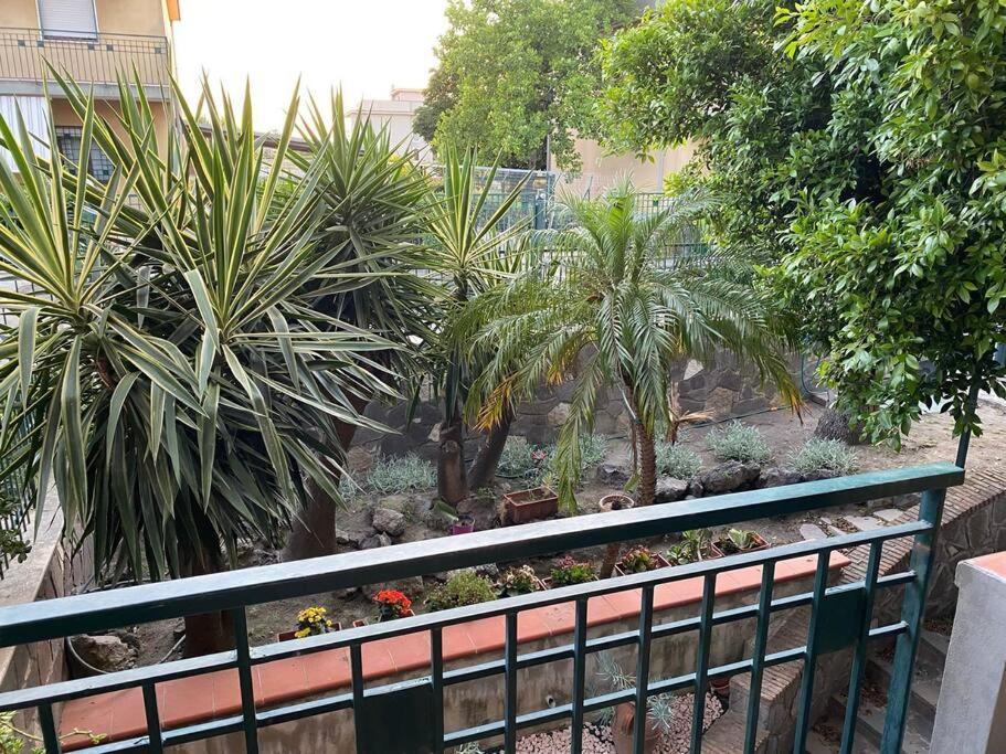 Casa Vacanze Parco Dei Fiori Villa Scafati Exterior foto